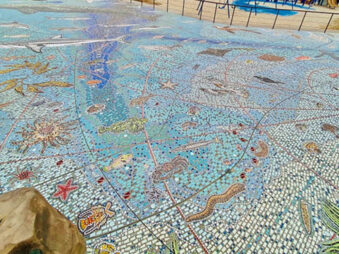 La Jolla Shores Map - Walter Munk Foundation - Mosaic of Sea Life